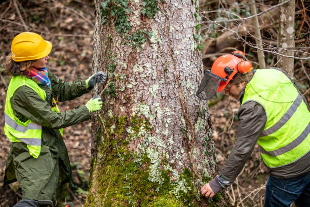 Best Leaf Removal  in Ocean Shores, WA